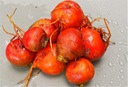Golden Beets