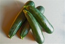 Zucchini