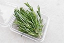 Rosemary