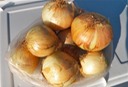 Sweet Onions 1