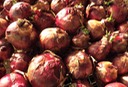Red Storage Onions Grade B