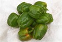 Green Peppers 5 lb Grade B