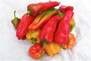 Red Peppers 5 lb Grade B