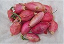 Red Tropea Onions 5 lb Grade B
