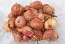 Shallots 5 lb Grade B