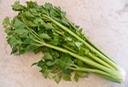 Celery