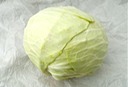 Cabbage