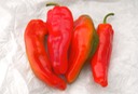 Anaheim Hot Pepper