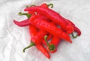 Cayenne Hot Pepper