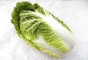 Napa Cabbage