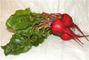 Beets - Chioggia
