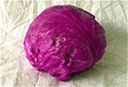Cabbage - Red