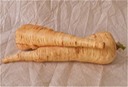 Parsnips