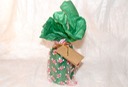 Gift Wrap Green