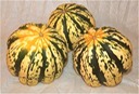 Hearts of Gold Winter Squash