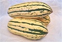 Delicata Winter Squash