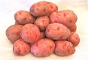 Red Pontiac Potatoes