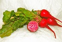 Chioggia Beets 2