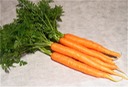 Carrots Bunched