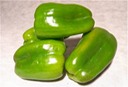 Green Peppers 2#