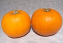 Pie Pumpkin 2