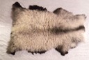 Shetland #3