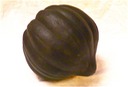 Acorn Squash