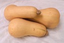 Grade B Butternut Squash