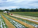 IMG_1089