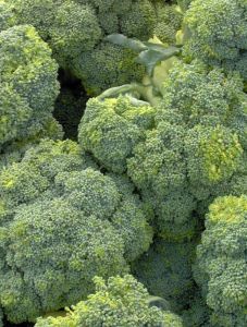 580707_broccoli_for_sale_textmedium